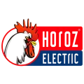 Horoz Electric