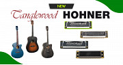 🎸 Свежее поступления TANGLEWOOD и HOHNER: гитары и гармоники ждут вас! ⚡ 🎸 Свежее поступления TANGLEWOOD и HOHNER: гитары и гармоники ждут вас! ⚡