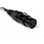 Мікрофонний кабель XLR мама - XLR тато Cascha CCS-M1BK1 (Standard Line XLR, Black, 1 м)