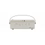 Гитарный комбоусилитель HOTONE AUDIO PULZE LUNA