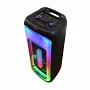Автономна акустична система TMG TTD-1001 (1MIC+USB+MP3+FM+BT)