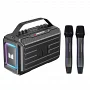 Автономна акустична система Monster Adventurer 1000 (2MIC+USB+SD+BT)