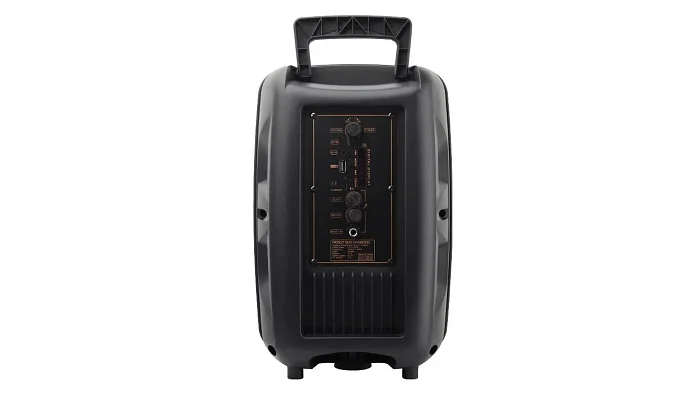 Автономна акустична система BIG VENOM (1MIC+MP3+USB+FM+BT), фото № 3