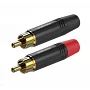 Роз'єм RCA тато Roxtone P2BG