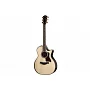 Електроакустична гітара TAYLOR GUITARS 814ce BUILDER'S EDITION
