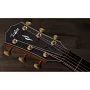 Електроакустична гітара TAYLOR GUITARS 814ce BUILDER'S EDITION