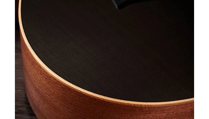 Электроакустическая гитара TAYLOR GUITARS GS Mini-e Trans Black Special Edition, фото № 8