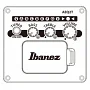 Електроакустична гітара IBANEZ TCY621 BOT