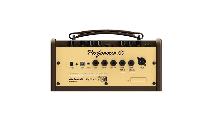 Гитарный комбоусилитель для акустической гитары Richwood RPF-65, фото № 3