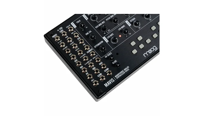Аналоговий синтезатор MOOG Mavis, фото № 7