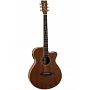 Електроакустична гітара TANGLEWOOD TRU4 CE AW