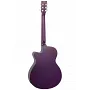 Електроакустична гітара TANGLEWOOD TA4 CE PU