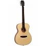 Акустическая гитара TANGLEWOOD TS3