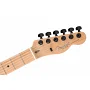 Електрогітара FENDER AMERICAN PRO II TELECASTER LTD HH RM SMOKE