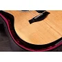 Електроакустична гітара TAYLOR GUITARS 214ce PLUS
