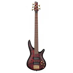 Бас-гітара IBANEZ SR305EDX-WZM