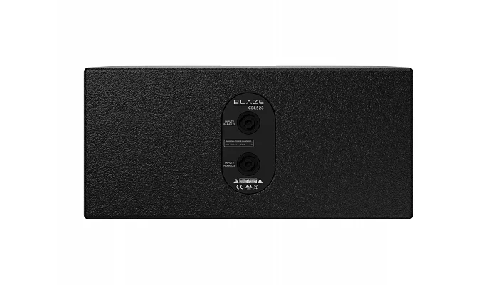 Настінна акустична система Blaze Audio CBL523 Black, фото № 3