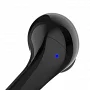 Бездротові вакуумні TWS навушники Belkin Soundform Motion True Wireless (black)