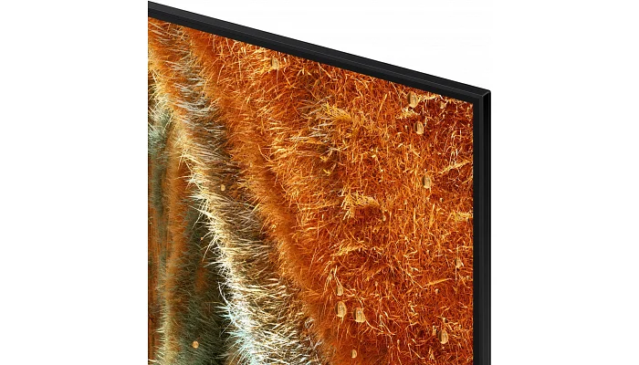 Телевизор Samsung QE55QN70FAUXUA 55" NeoQLED 4K 50Hz Smart Tizen Black, фото № 4