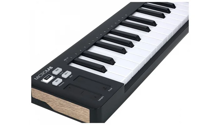 MIDI-клавіатура Arturia MicroLab mk3 (Black) + Analog Lab V, фото № 12