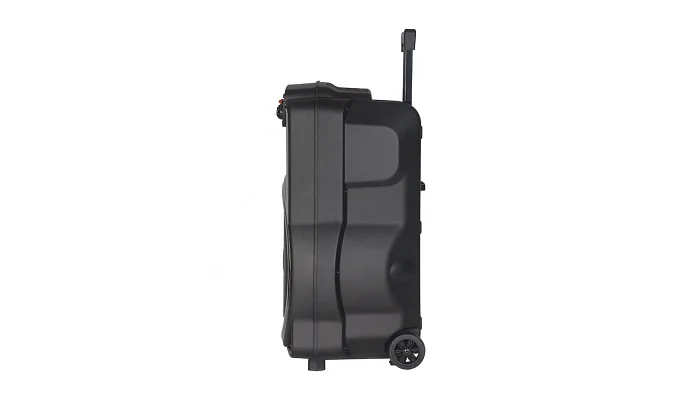 Автономна акустична система TMG ZXX-1520 (1MIC+BT+USB+SD+FM), фото № 6