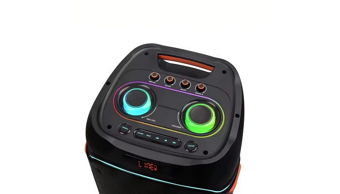 Автономна акустична система TMG ZXX-5560 (2MIC+BT+USB+SD+FM), фото № 5