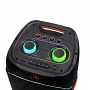 Автономна акустична система TMG ZXX-5560 (2MIC+BT+USB+SD+FM)