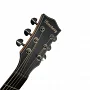Акустична гітара Toneberg TQ-BC-FGS