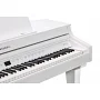 Цифровий рояль Kurzweil CUP G1 BP