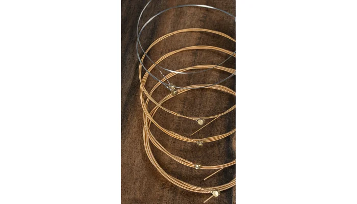 Струни для акустичної гітари Adamas Phosphor Bronze Round Core 1717RC, 10-47w (6 шт.), фото № 8