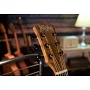 Акустична гітара Washburn BTS9CH-D-U