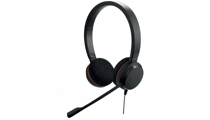 Гарнітура для ПК Jabra EVOLVE 20 MS Stereo USB-С/A, фото № 1