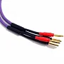 Міжблочний кабель Melodika Purple Speaker cable (2×4,0 мм², довжина 2 м)
