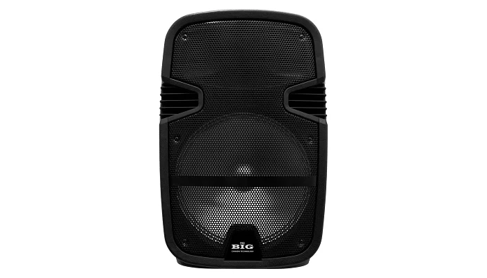 Автономна акустична система BIG JB12RECHARGE350 LIGHT USB/MP3/FM/BT/+ 2pcs VHF mic, фото № 1