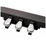 Цифрове піаніно CASIO CDP-S160RD
