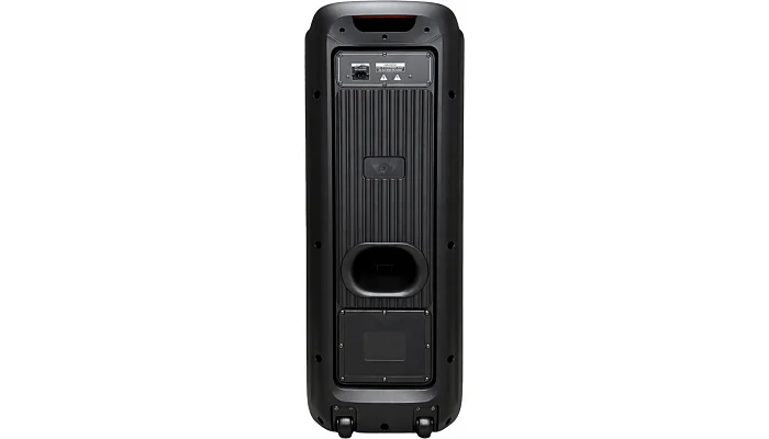 Автономна акустична система TMG 1022BF (2MIC+USB+TF+MP3), фото № 7