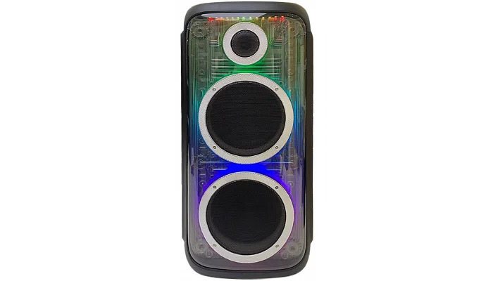 Автономна акустична система TMG 1022BF (2MIC+USB+TF+MP3), фото № 3