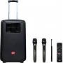 Автономна акустична система TMG SL10-22 (2MIC+USB+SD)