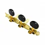 Колки для класичної гітари Alfabeto CGT-6BG (Gold/Black)