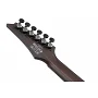 Електрогітара Ibanez RGD621AH