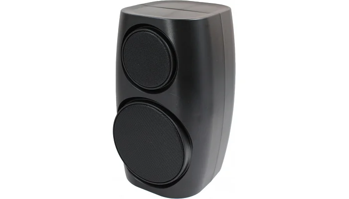 Настенная акустическая система Top Sound F-0204 (black), фото № 1