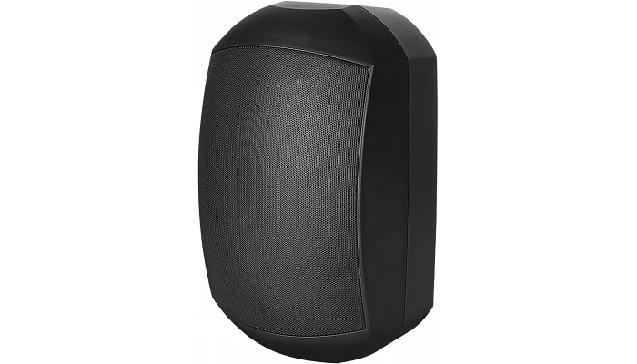 Настінна акустична система Top Sound F-LHY5Y (black), фото № 1