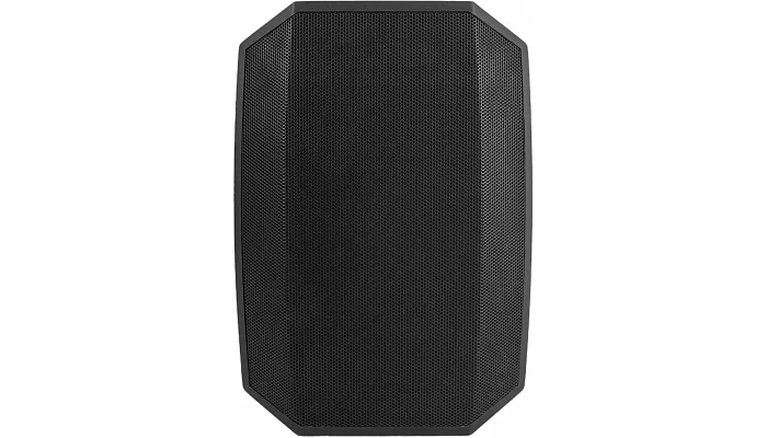 Настінна акустична система Top Sound F-LHY5Q (black), фото № 1