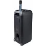 Автономна акустична система TMG YS014 (BT+1MIC+USB+FM+TWS)
