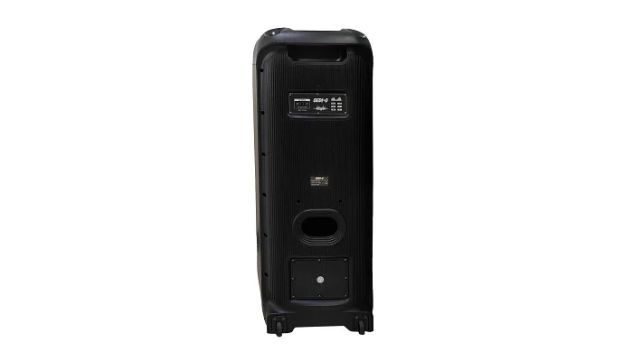 Автономна акустична система TMG GD2129 (BT+2MIC+USB+FM), фото № 7