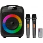 Автономна акустична система TMG ZXX-1745 (2MIC+BT+USB+SD+TWS)