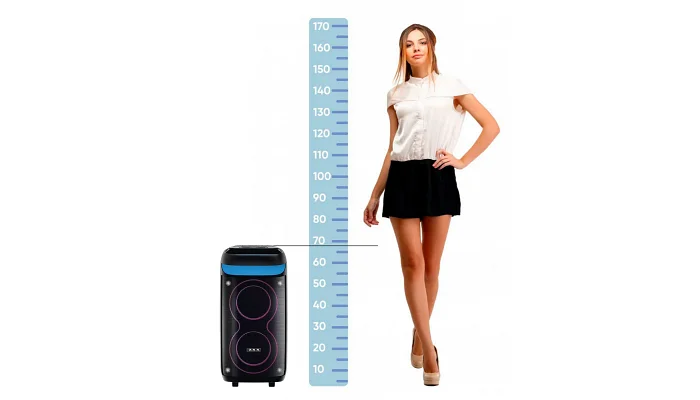 Автономна акустична система TMG ZXX-6520 (1MIC+BT+USB+FM+TWS), фото № 2