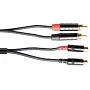 Міжблочний кабель ALPHA AUDIO GEWA Pro Line 2xRCA-2xRCA (6 м)