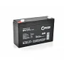 Акумуляторна батарея AGM EUROPOWER EP6-12F1 6 V / 12 Ah (Black Case)