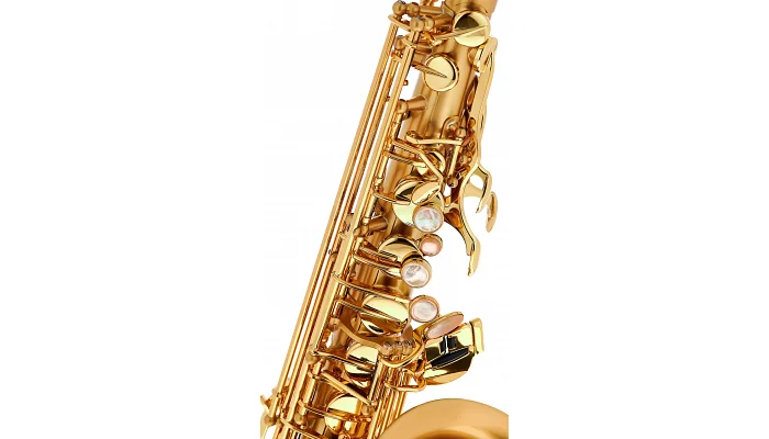 Альт-саксофон Henri Selmer Paris SA 80 II BGG GO (gold), фото № 6